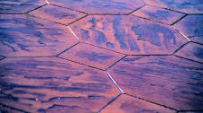 La Paz Slate Stamped Concrete Surface