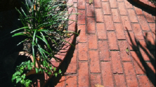 New Brick Running Bond Stamped Concrete