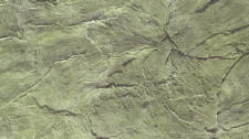 San Diego Slate Stamped Concrete