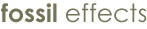 MATCRETE� Fossil Effects are used to emboss
