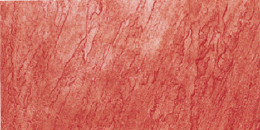 12" x 48" York Stone Single Concrete Stamp