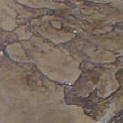 Arizona Sandstone Stamped Concrete